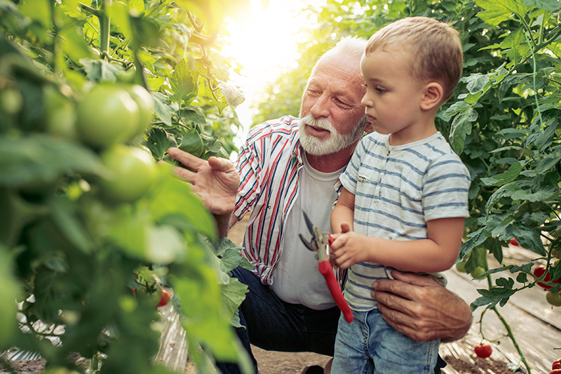 An Allercare patient enjoys gardening with their grandchild